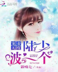 宠妻无度陆少请节制