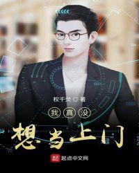 我真没想当上门txt