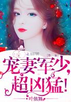 霍少追婚100次