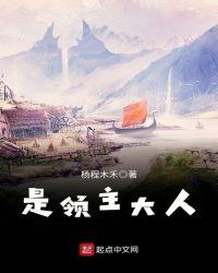 是领主大人txt