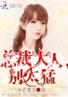 总裁大人别太猛作者小芒果干