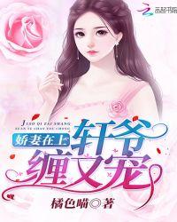 娇妻在上总裁老公超给力作者 烟语朦胧已完结