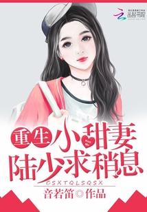 陆少宠上