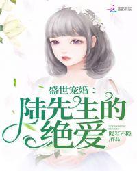 陆先生强势宠婚