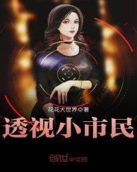 透视小乡民免费阅读全文