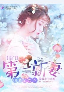 豪门第一新妻hi老公大人免费阅读笔趣阁