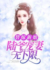 替嫁新娘陆总的第一宠妻结局