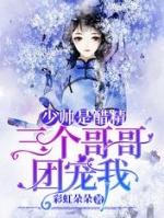 少帅是醋精三个哥哥团宠我全文阅读