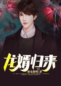 龙婿归来江夜