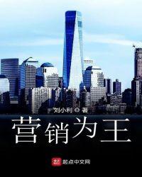 营销王者