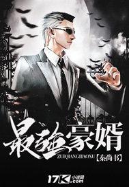 最强豪婿视频