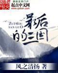 最后的三国—刘胤