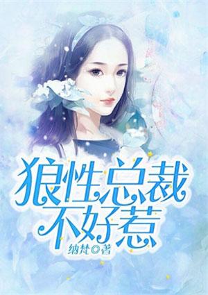 偏执总裁不好惹免费