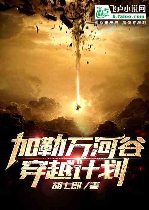 加勒万河谷详细过程