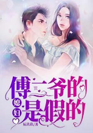 男主角叫傅二爷