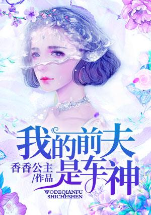 我的前夫是车神漫画