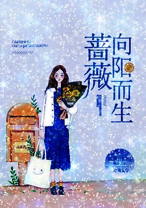蔷薇向阳而生免费阅读全文章节