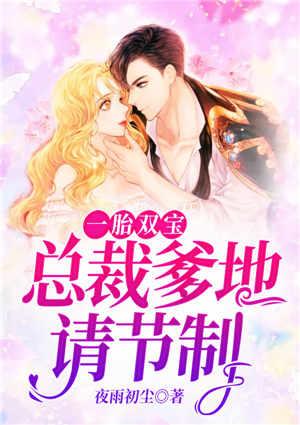 一胎双宝总裁爹地也太卖力