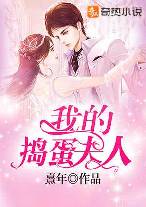 我的捣蛋夫人第17章