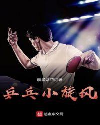 乒乓小旋风免费