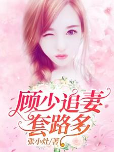 顾少的追妻日常