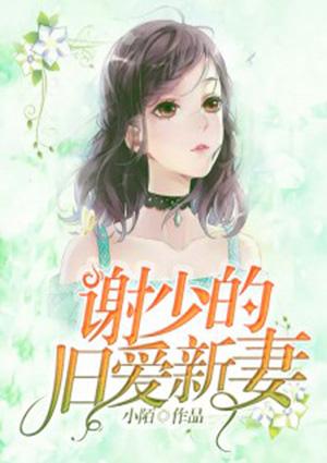 谢少的旧爱新妻全文阅读