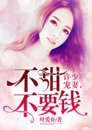 许少的隐婚甜妻人物介绍