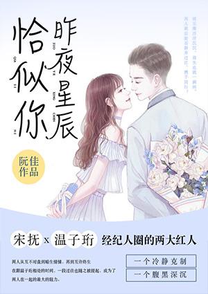 昨夜星辰恰似你江衍恬安免费阅读