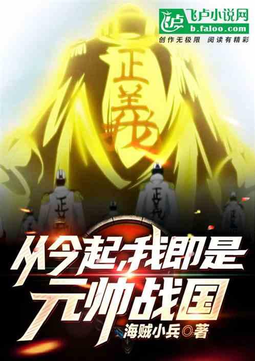 从今起我即是元帅战国5g