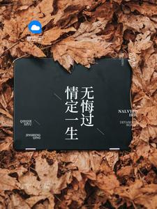 沈蔓歌叶南弦全文阅读