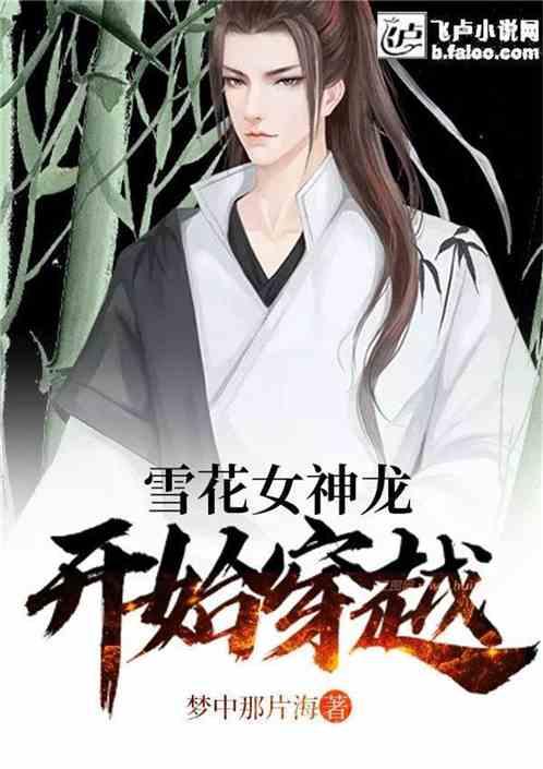 从雪花女神龙开始穿越第八区