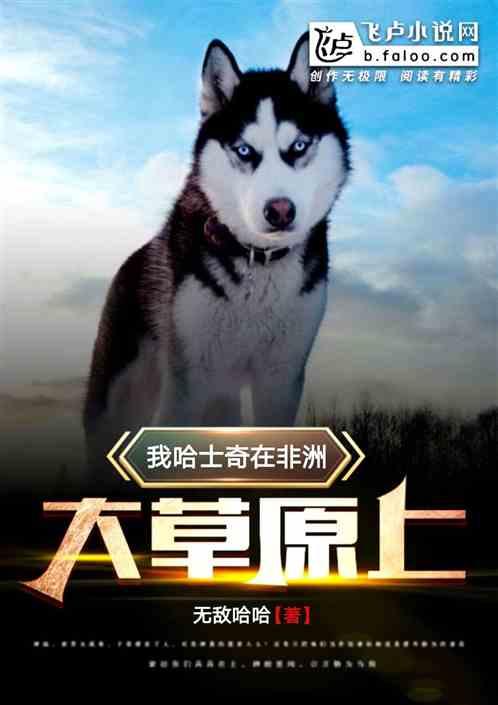 哈士奇在农村