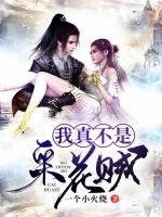 我真不是采花贼叶无畏