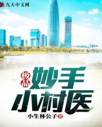 妙手小村医汪大东