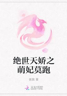 乱世红颜王妃的崛起