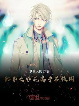 护花高手在校园陆飞扬txt