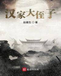 汉家大将指的是谁