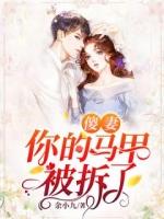 傻妻你的马甲被拆了人物简介
