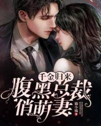 腹黑总裁俏皮妻阅读