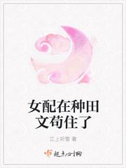 种田文之女配人生