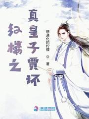 红楼之主角贾环