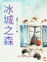 冰雪之城攻略
