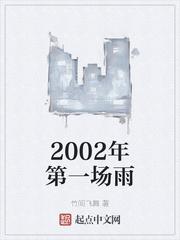 2002年第一场雪刀郎歌词