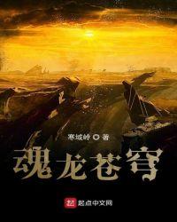 苍魂青龙特性