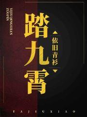 林羽冷清雪系统