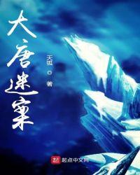大唐谜案主要内容是什么