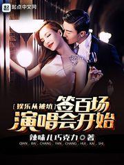 娱乐从演唱会