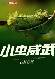 小虫写的最经典的歌曲