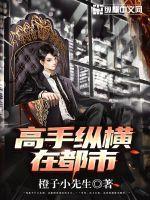 高手纵横