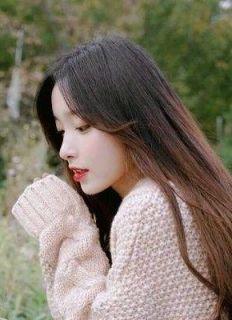 黎大小姐事件